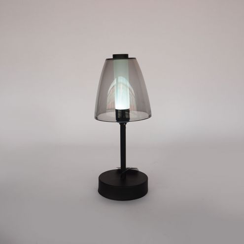 Modern Cordless LED Light Desk Lamp Restaurant Home Decoration Table Lamp  